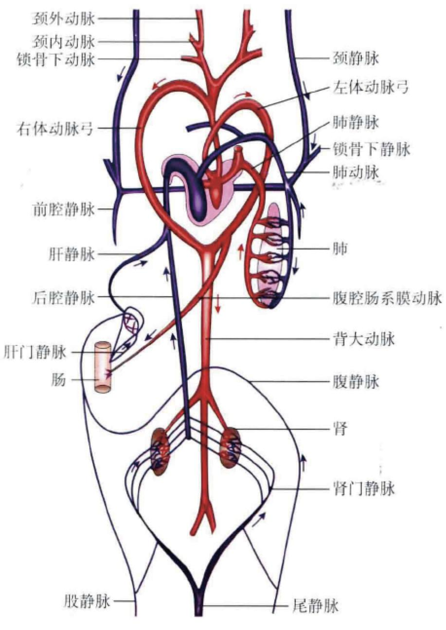 image-20250619145622382